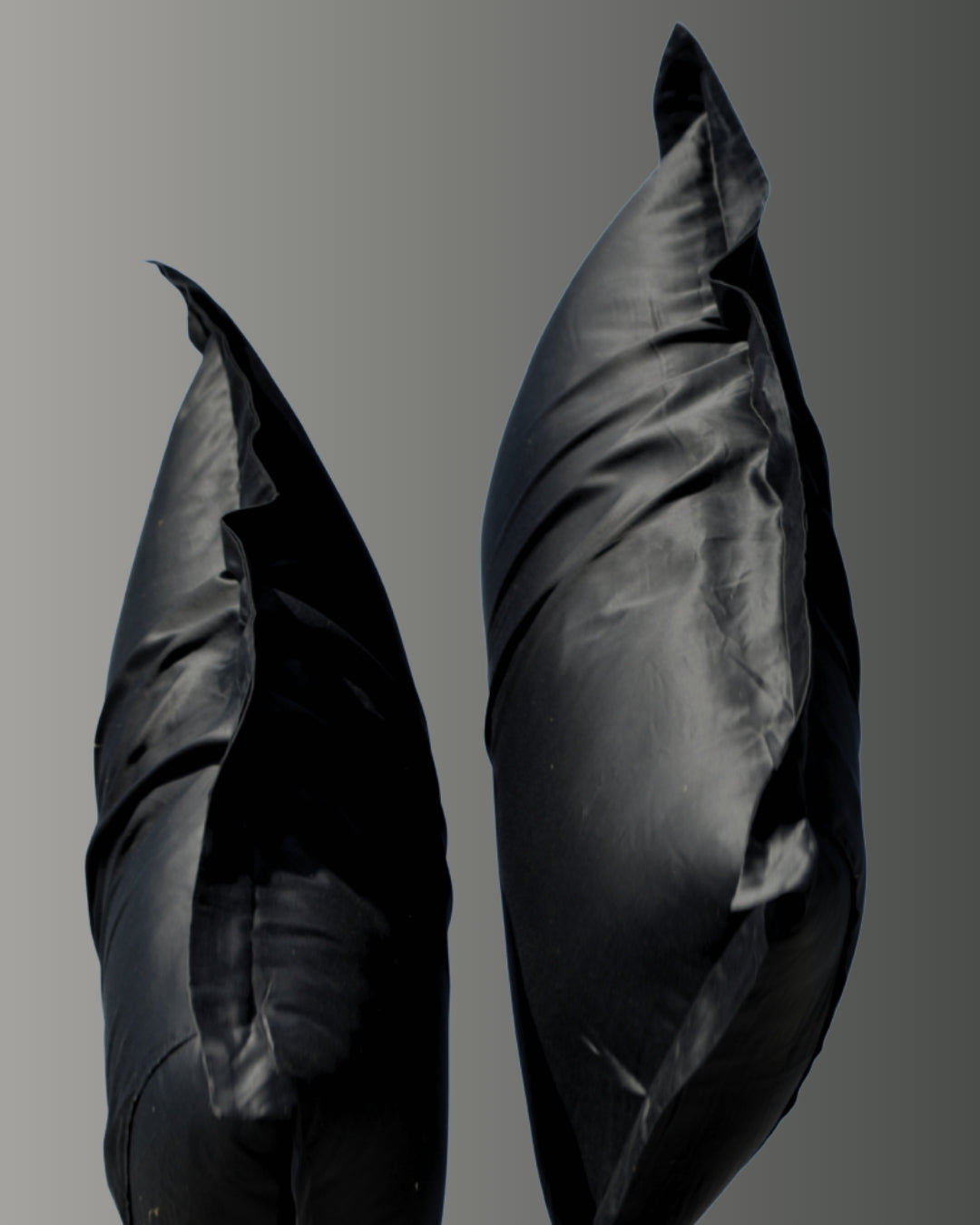 Signature King Size Pillow Bundle