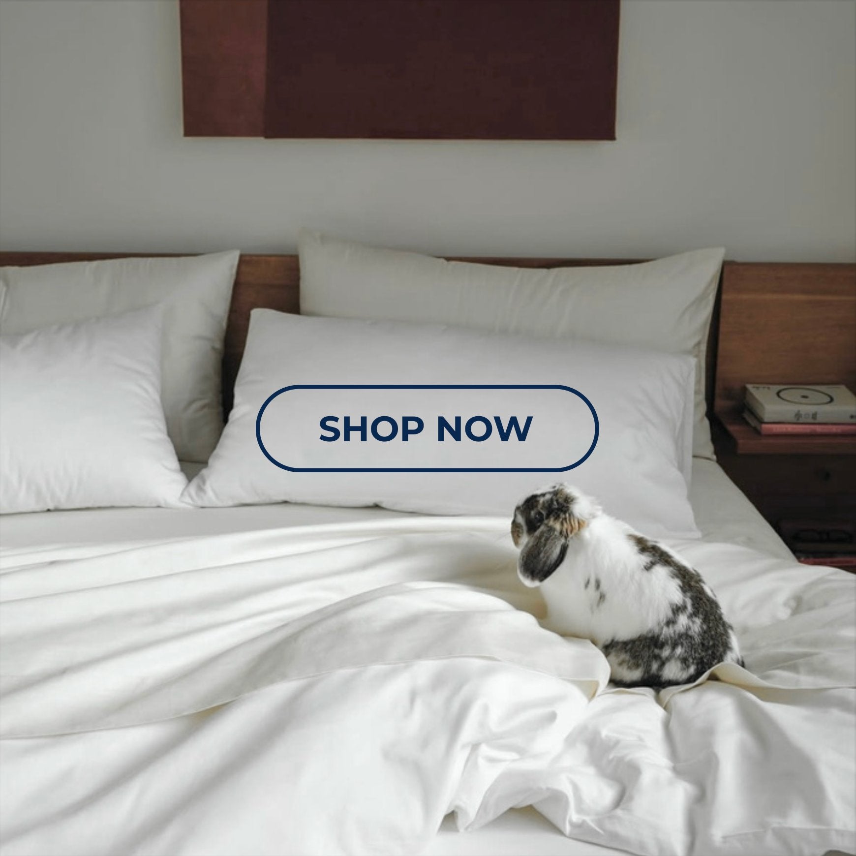 Bamboo Pillow Bundles