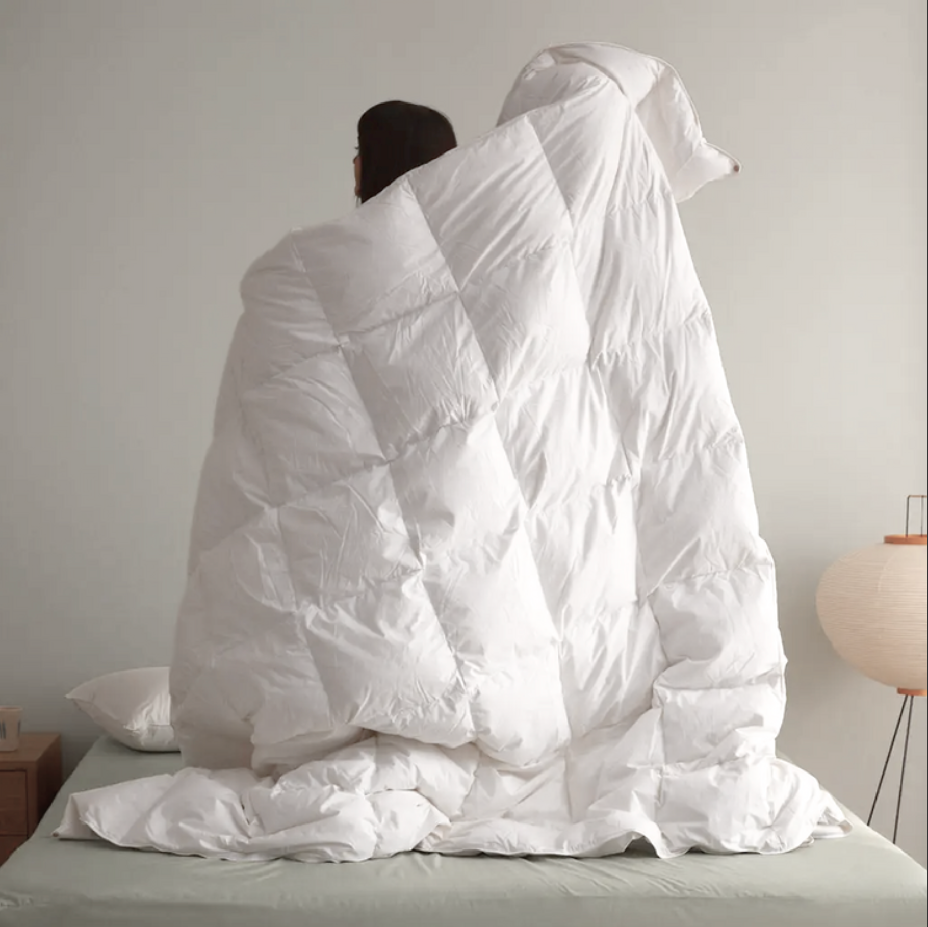 All-Season Weighted Emperor Quilt